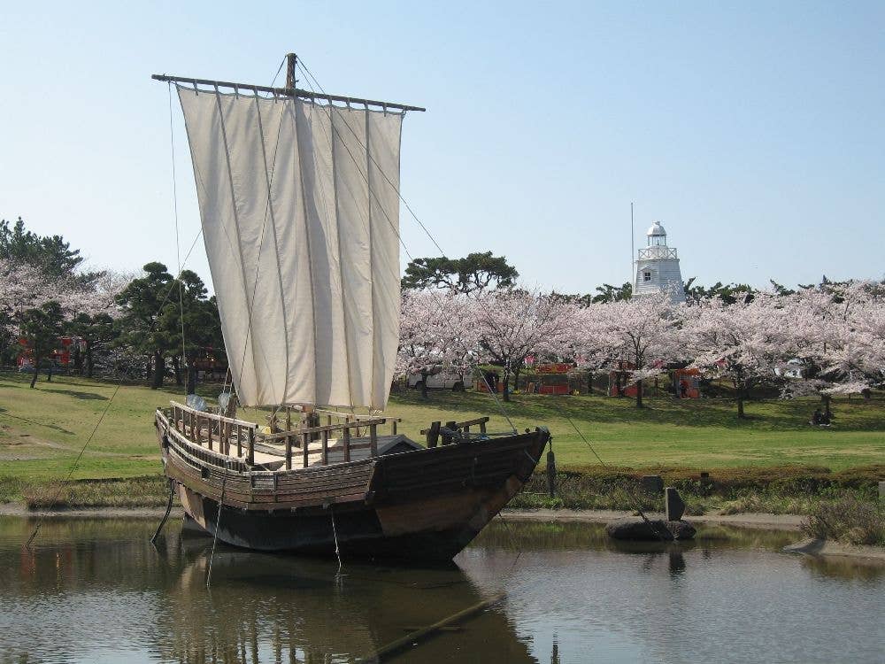 日和山公園の桜