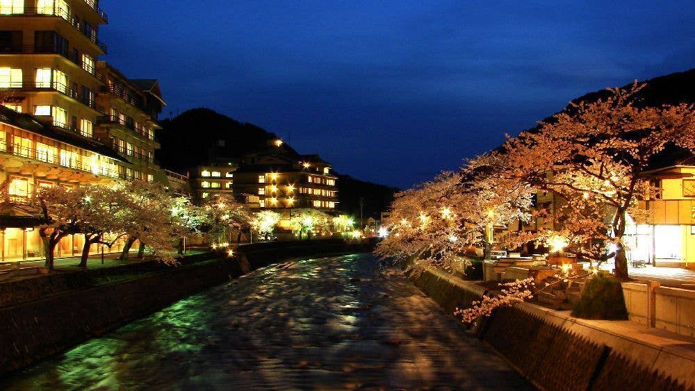 あつみ温泉温海川河畔の桜