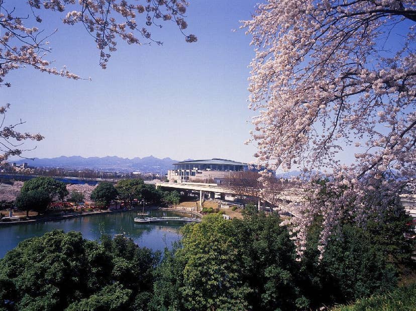 楽歩堂　前橋公園の桜