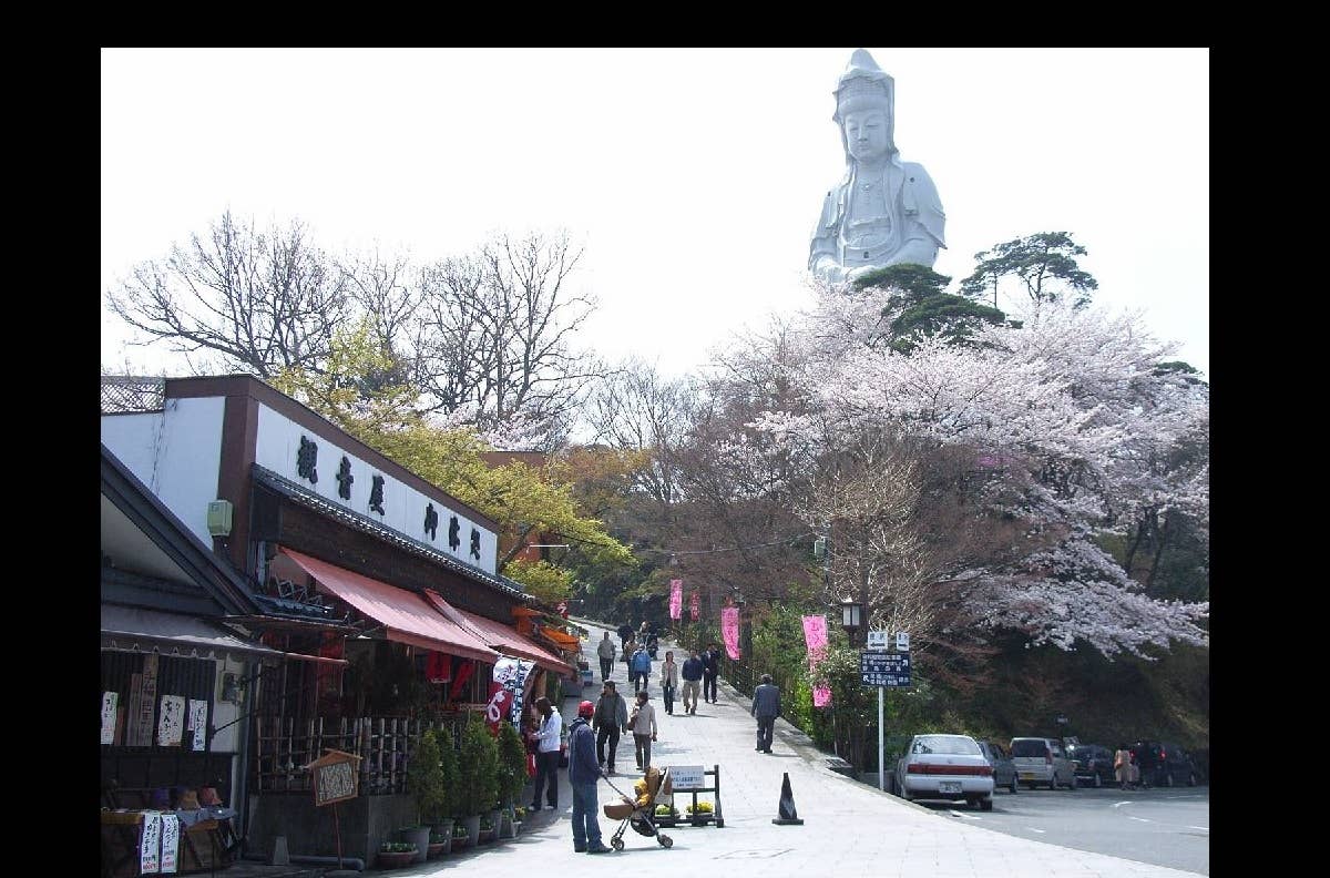 観音山の桜