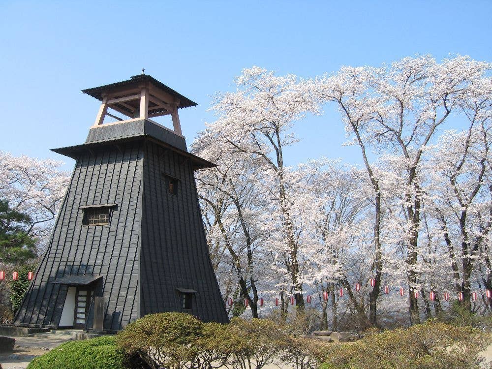 沼田公園（沼田城址）の桜