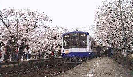 能登鹿島駅｢能登さくら駅｣の桜