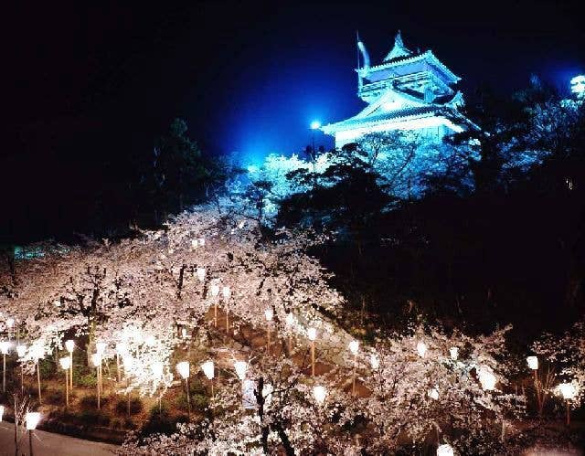 霞ヶ城公園の桜