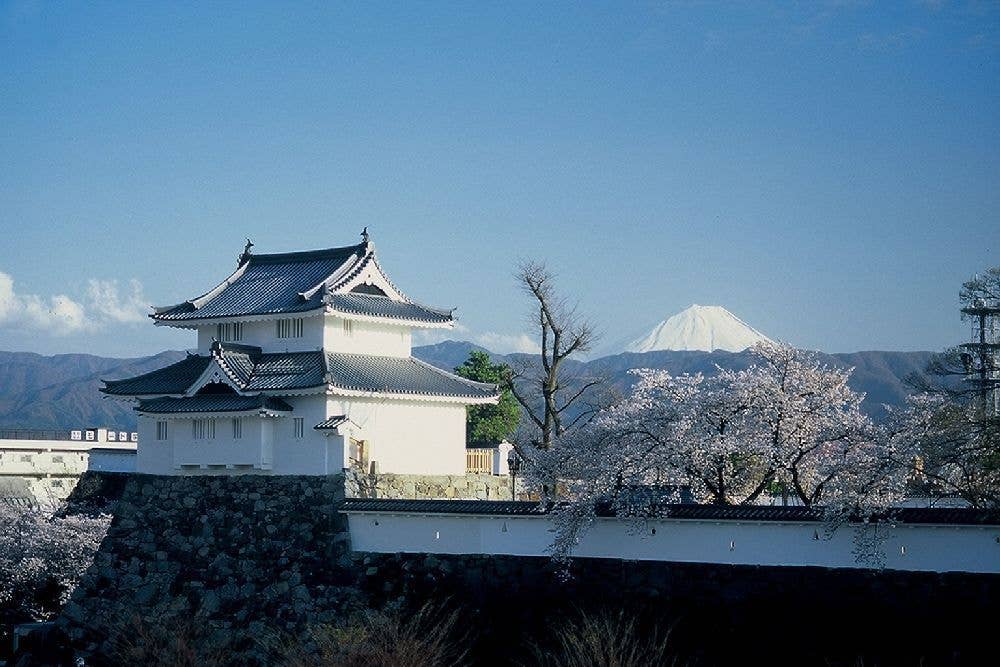 舞鶴城公園（甲府城跡）の桜