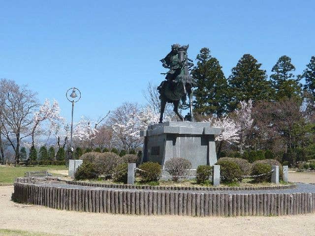 城山公園の桜