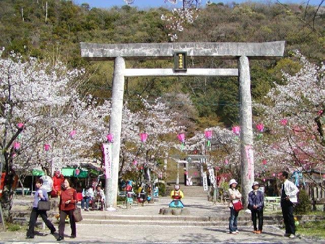 桃太郎公園の桜