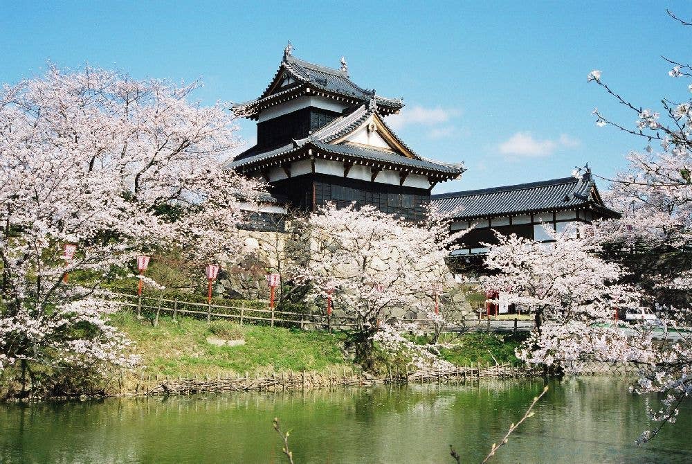 史跡郡山城跡の桜