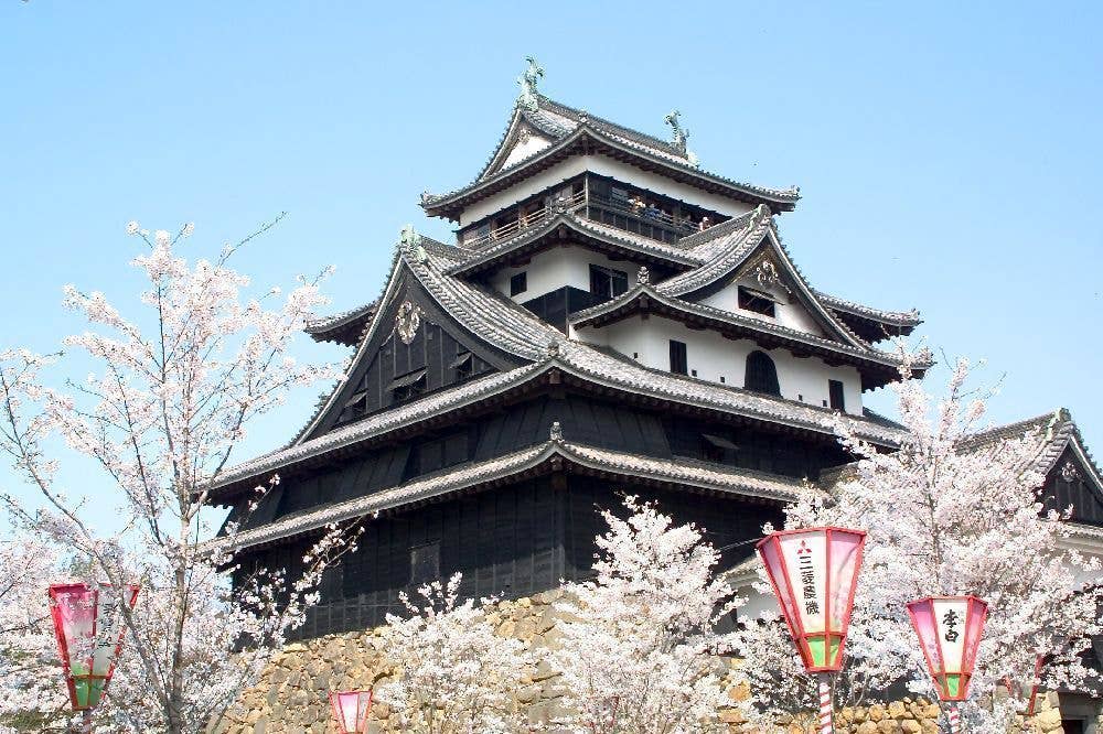 城山公園の桜