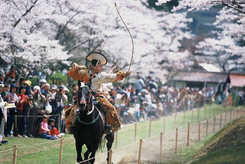 鷲原公園の桜