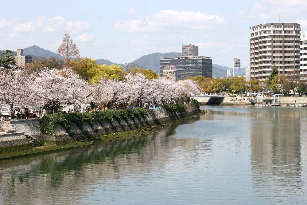 平和記念公園の桜