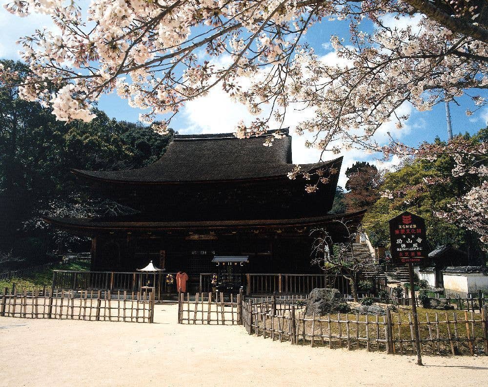 功山寺の桜