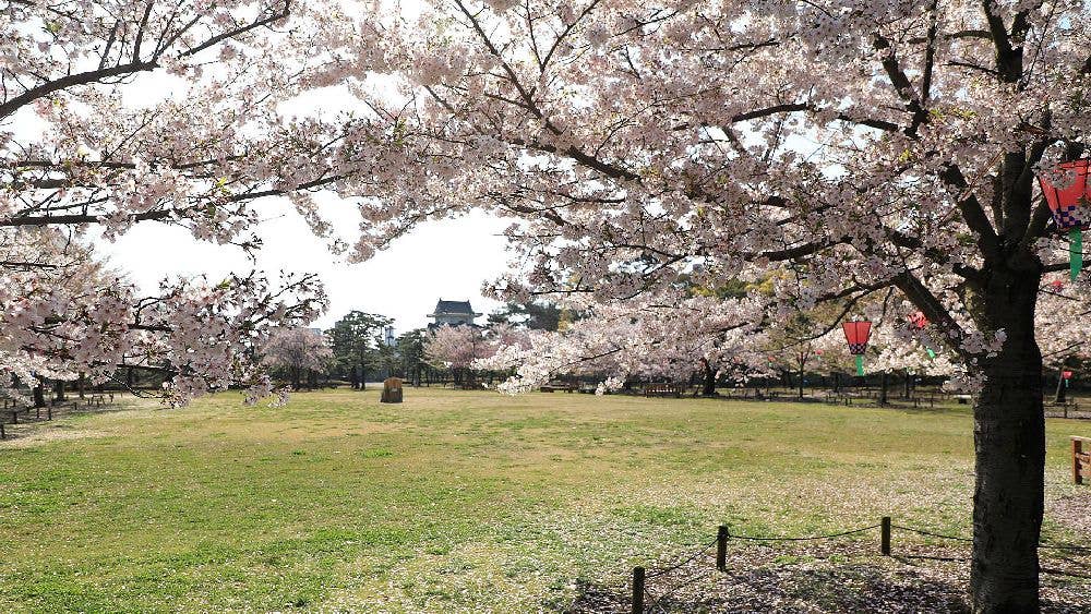 史跡高松城跡 玉藻公園の桜