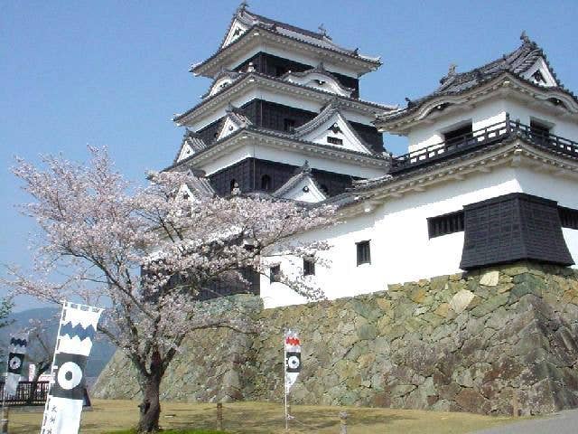 冨士山公園・城山公園・祇園公園の桜