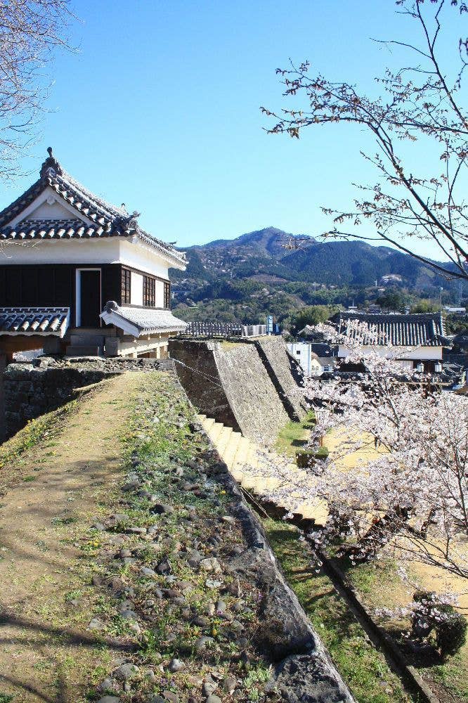 臼杵城跡（臼杵公園）の桜