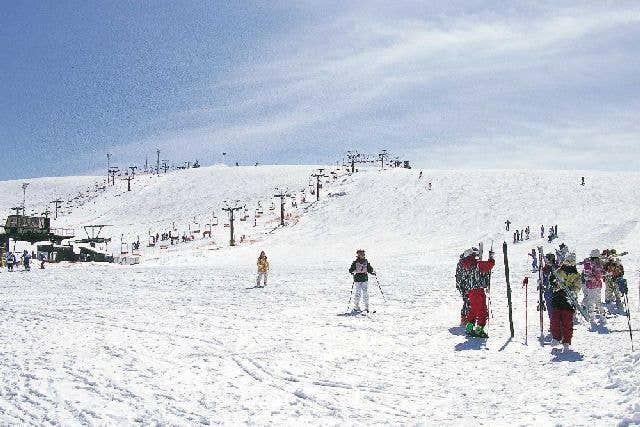 ファミリーゲレンデ霧ヶ峰スキー場