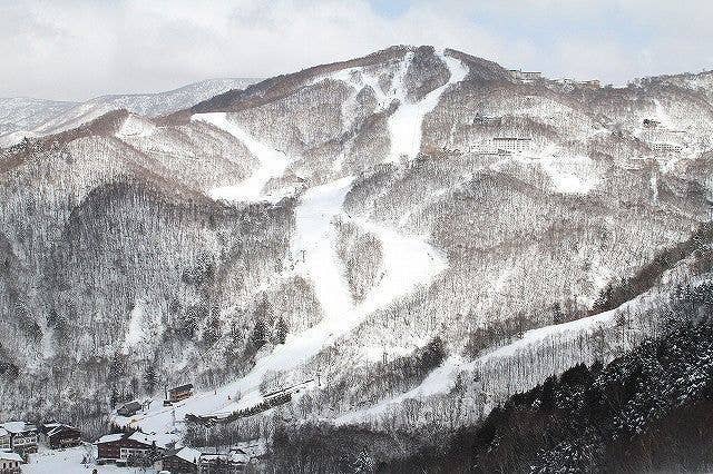 志賀高原中央エリア｢西館山スキー場｣