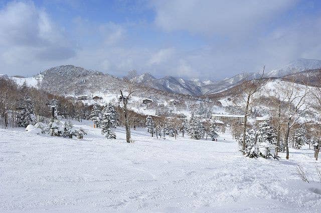 志賀高原中央エリア｢タンネの森オコジョスキー場｣