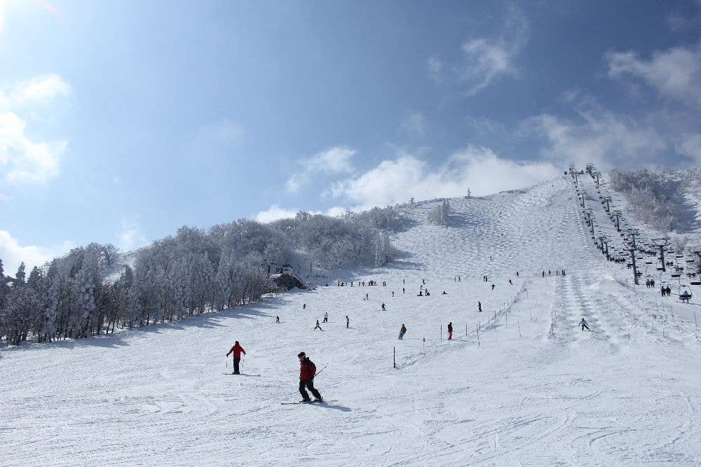 ハチ北高原