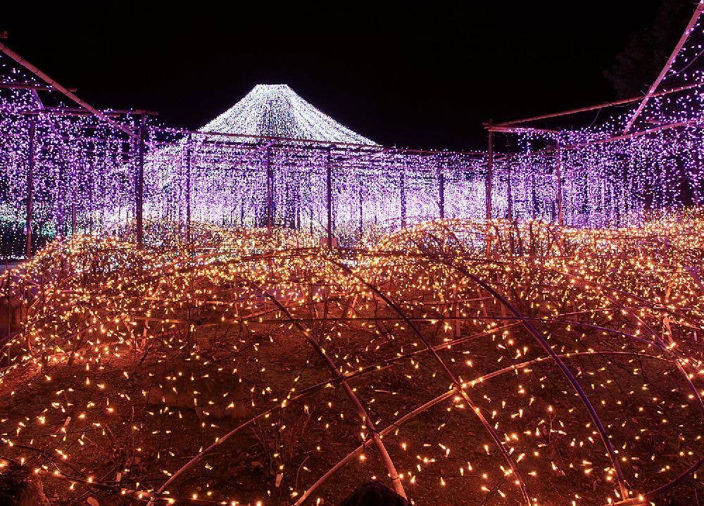 由志園　イルミネーション　「黄金の島ジパング」