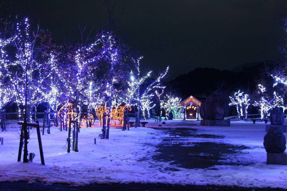 中山池自然公園イルミネーション