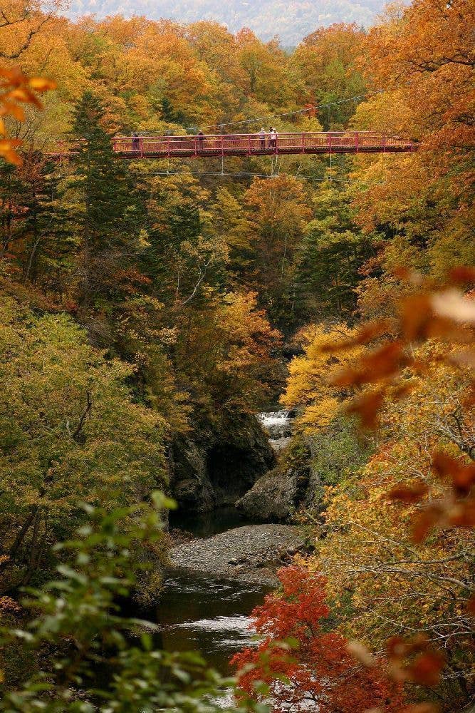 岩内仙峡の紅葉