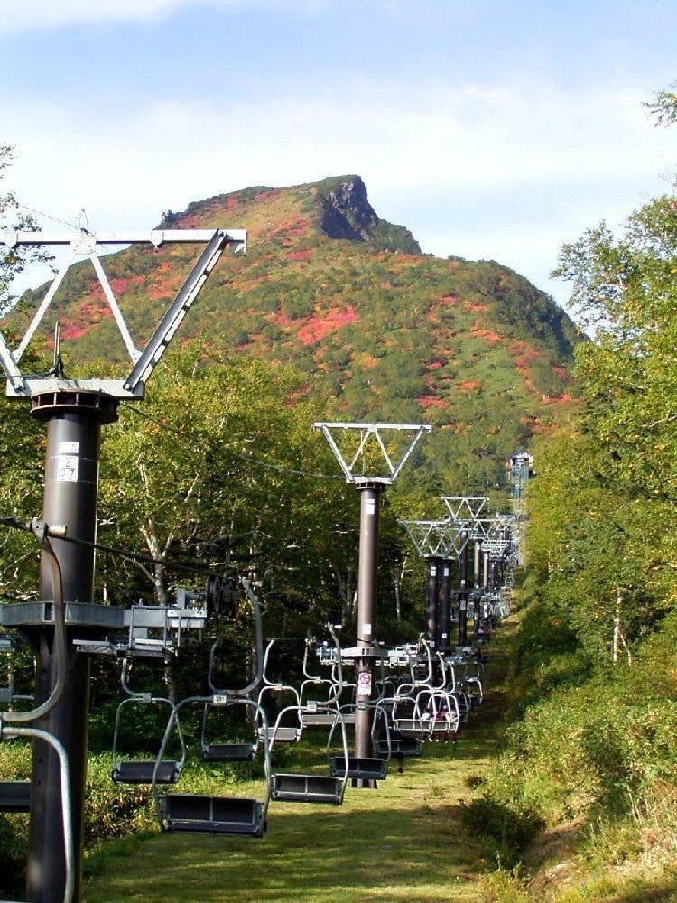 大雪山（黒岳）の紅葉
