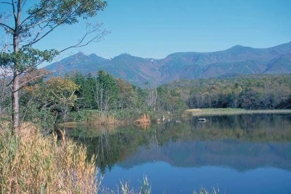 知床五湖の紅葉