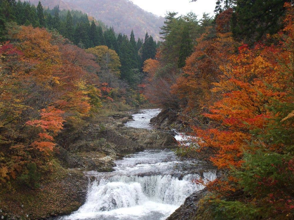 川内川渓谷の紅葉