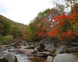 重湍渓の紅葉
