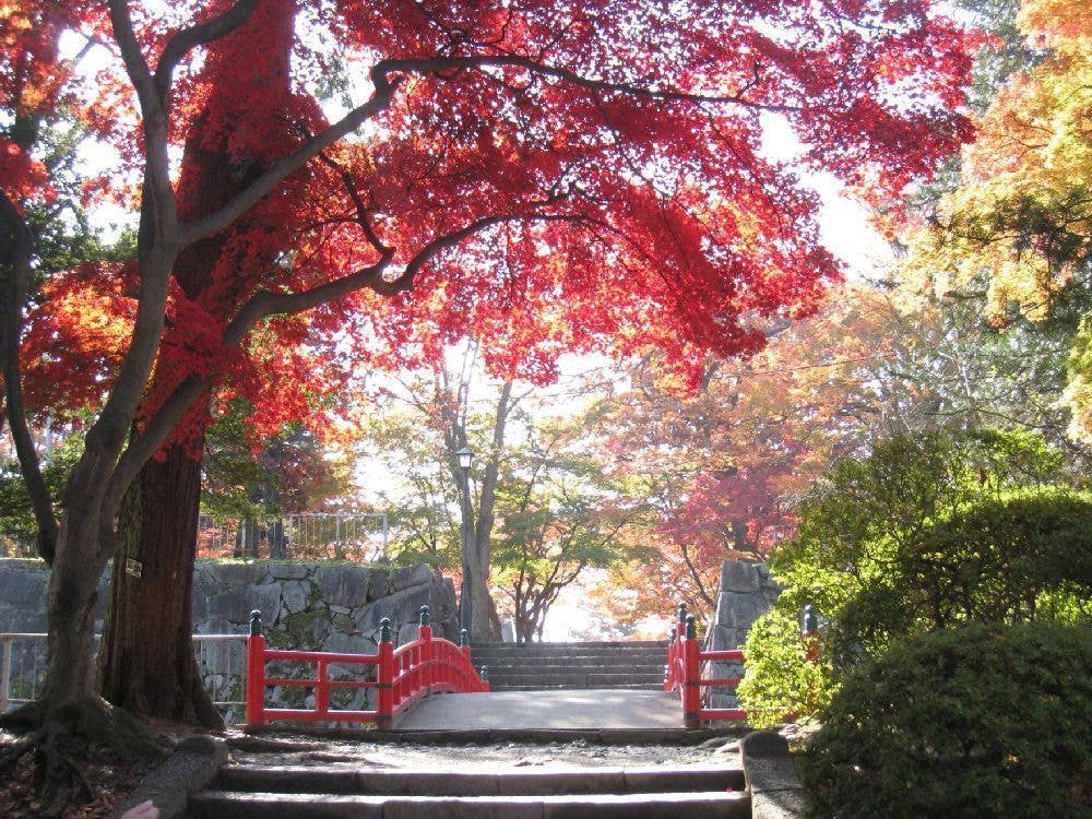 盛岡城跡公園（岩手公園）