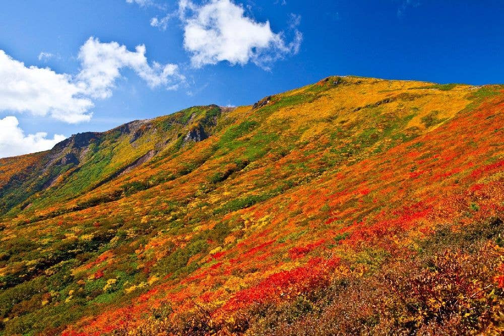 栗駒山（宮城県側）