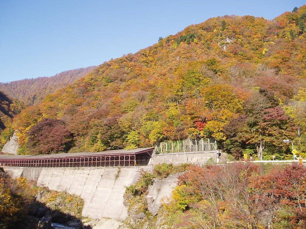 赤芝峡の紅葉