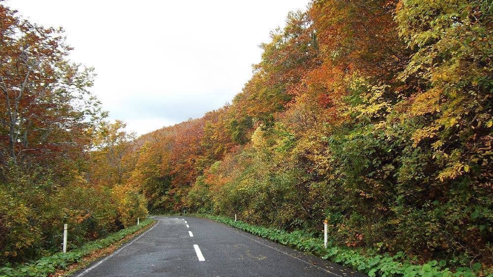 鳥海山の紅葉