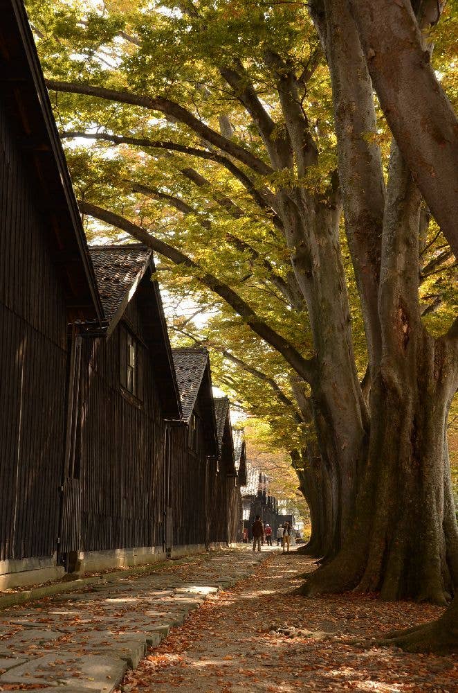 山居倉庫の紅葉