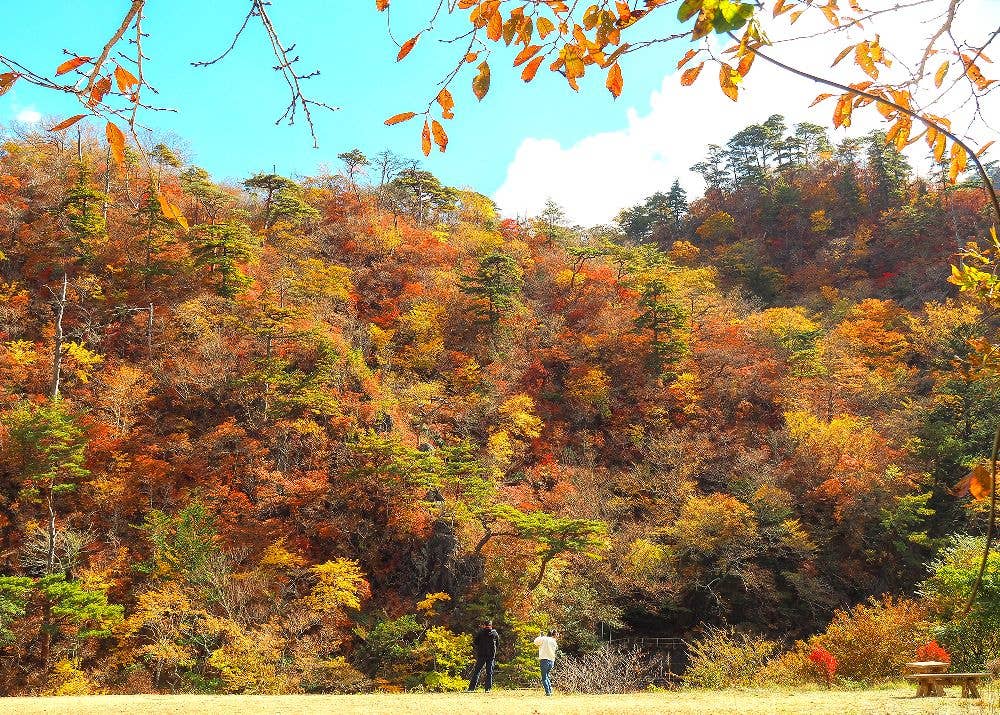 夏井川渓谷の紅葉