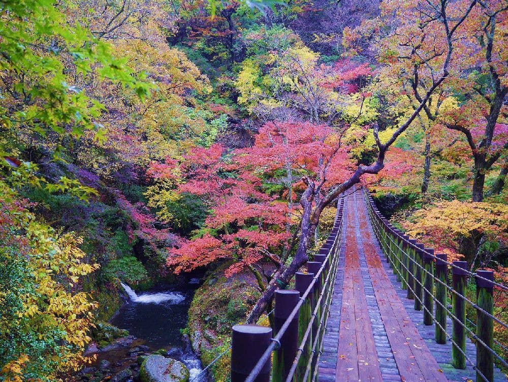 花貫渓谷の紅葉