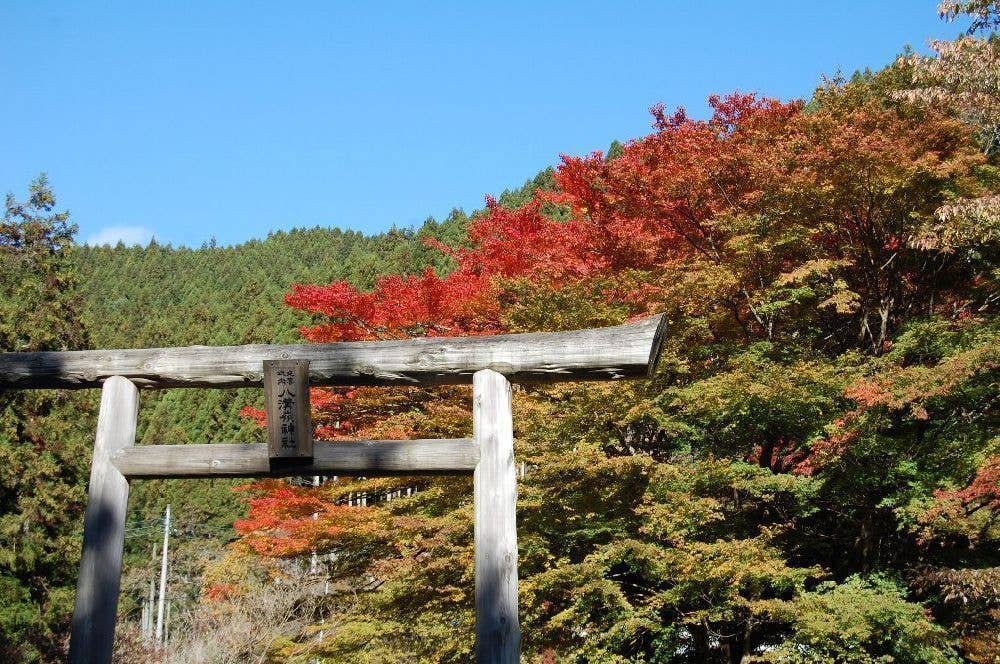 八溝山