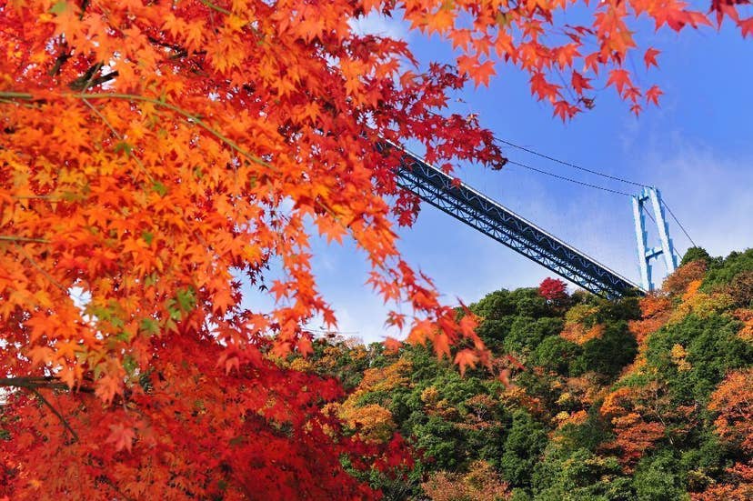 竜神峡・竜神大吊橋の紅葉