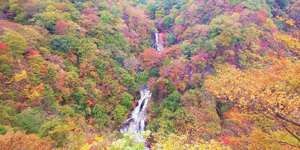 日光（霧降ノ滝）の紅葉