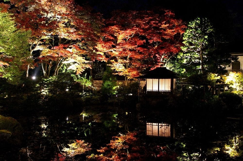 日光（二社一寺 日光東照宮・日光山輪王寺・日光二荒山神社）の紅葉 / 栃木県 -【JAPAN 47 GO】