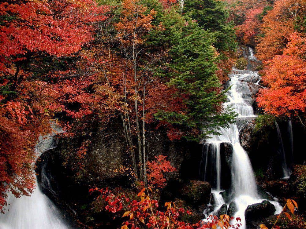 日光（竜頭ノ滝）の紅葉