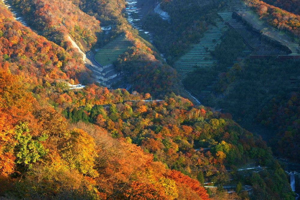 日光（いろは坂）の紅葉