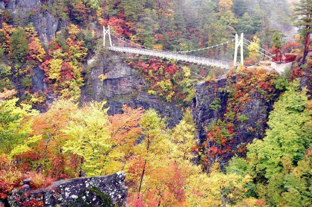 瀬戸合峡の紅葉