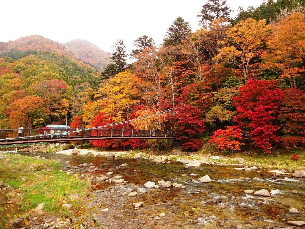 塩原の紅葉