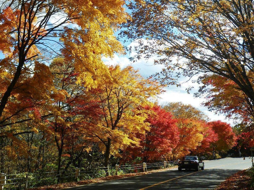 日塩もみじラインの紅葉