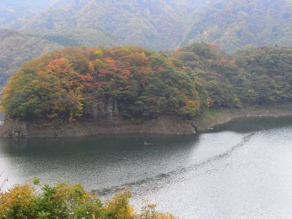 五十里湖の紅葉