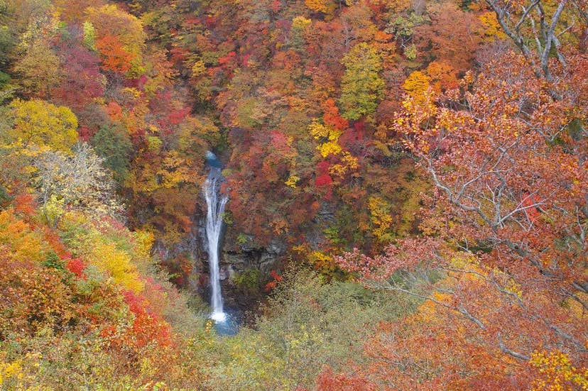 那須高原（那須平成の森・駒止の滝）の紅葉