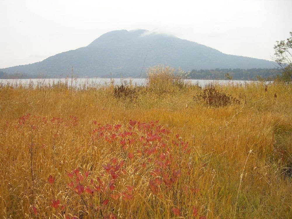 尾瀬（尾瀬沼）の紅葉