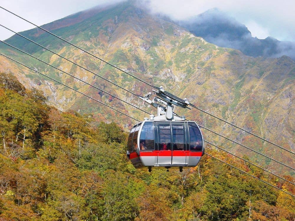 谷川岳天神平の紅葉