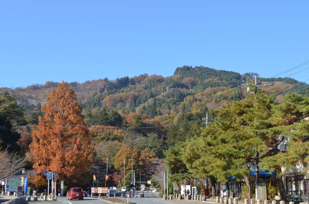 宝登山の紅葉